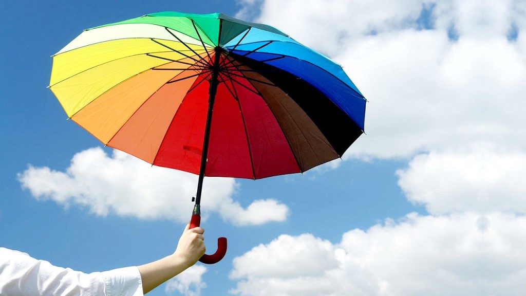 Выбор женского зонта – на что обращать внимание